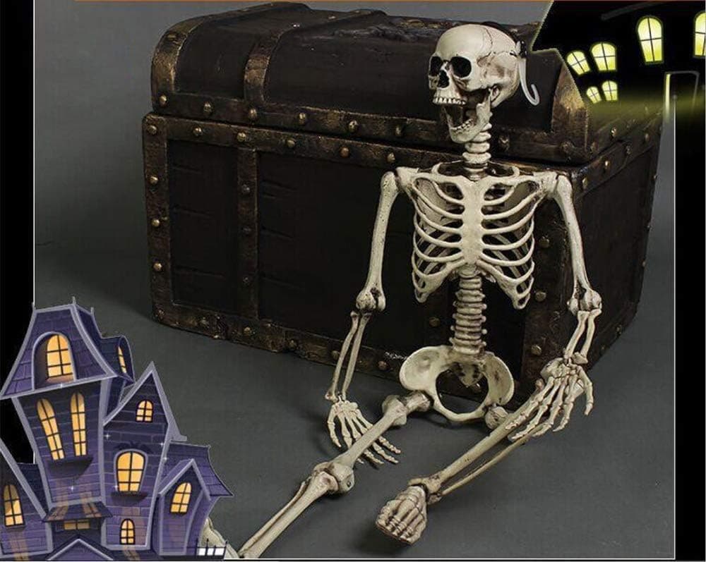 3 Ft Poseable Halloween Skeletons Realistic Dummy Skulls Large hanging Skeleton Models Plastic Fake skeleton Halloween Props Life Size full-body the Weirdest Halloween Decorations for Halloween parties Party supplies Adult