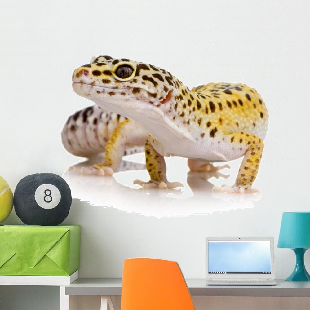 Leopard Gecko Wall Decal Wallmonkeys Peel and Stick Graphic (36 in W x 29 in H) WM290298