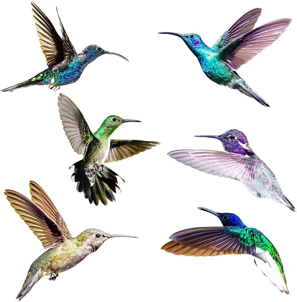 ONDY 6 Pieces Bird Window Clings Anti-Collision Window Clings Decals to Prevent Bird Strikes on Window Glass Non Adhesive Vinyl Cling Stickers