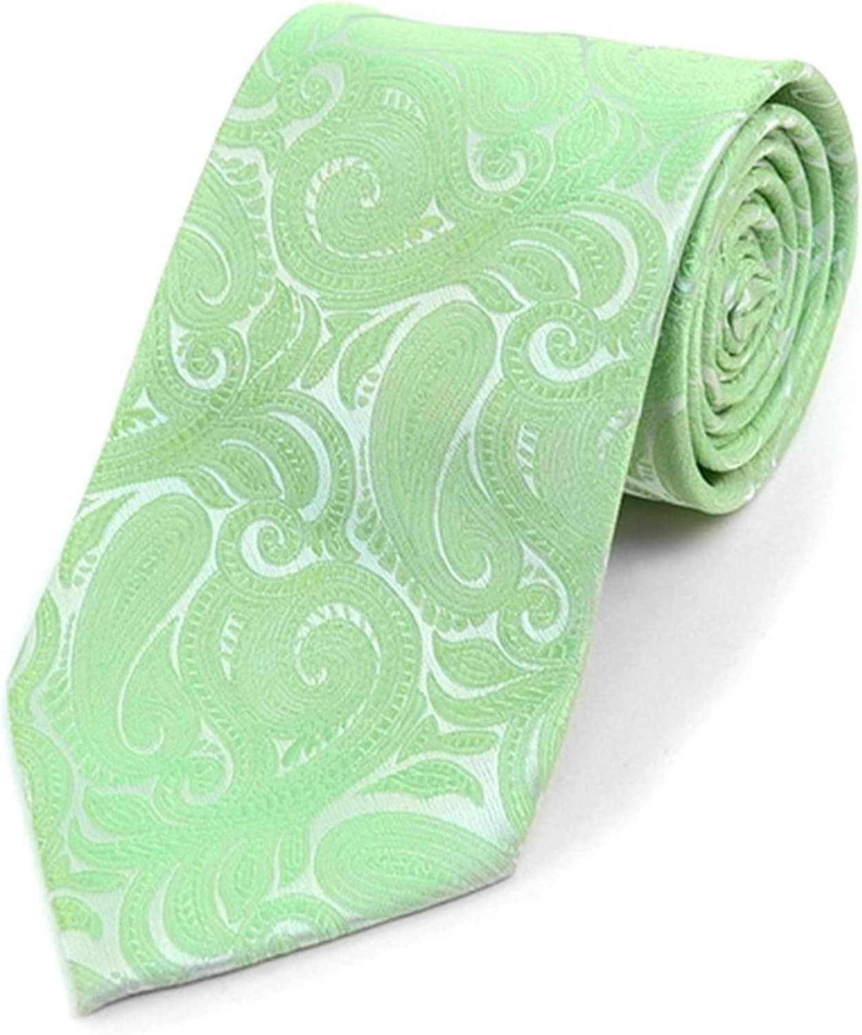 TheDapperTie Men's Paisley Microfiber Woven Wedding Neckties