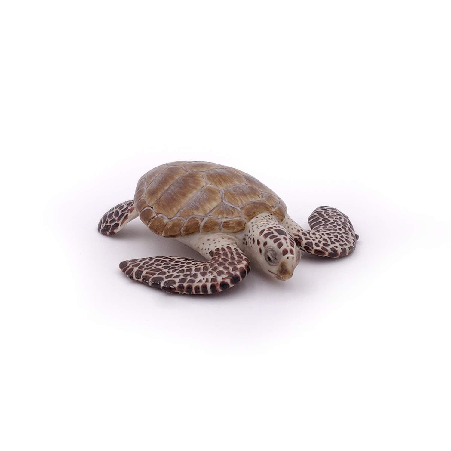 Papo - Hand-Painted - Figurine - Marine Life - Loggerhead Turtle Figure-56005 - Collectible - for Children - Suitable for Boys and Girls - from 3 Years Old