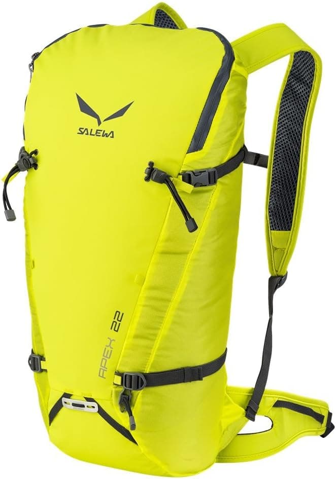 Salewa Apex 22 Backpack