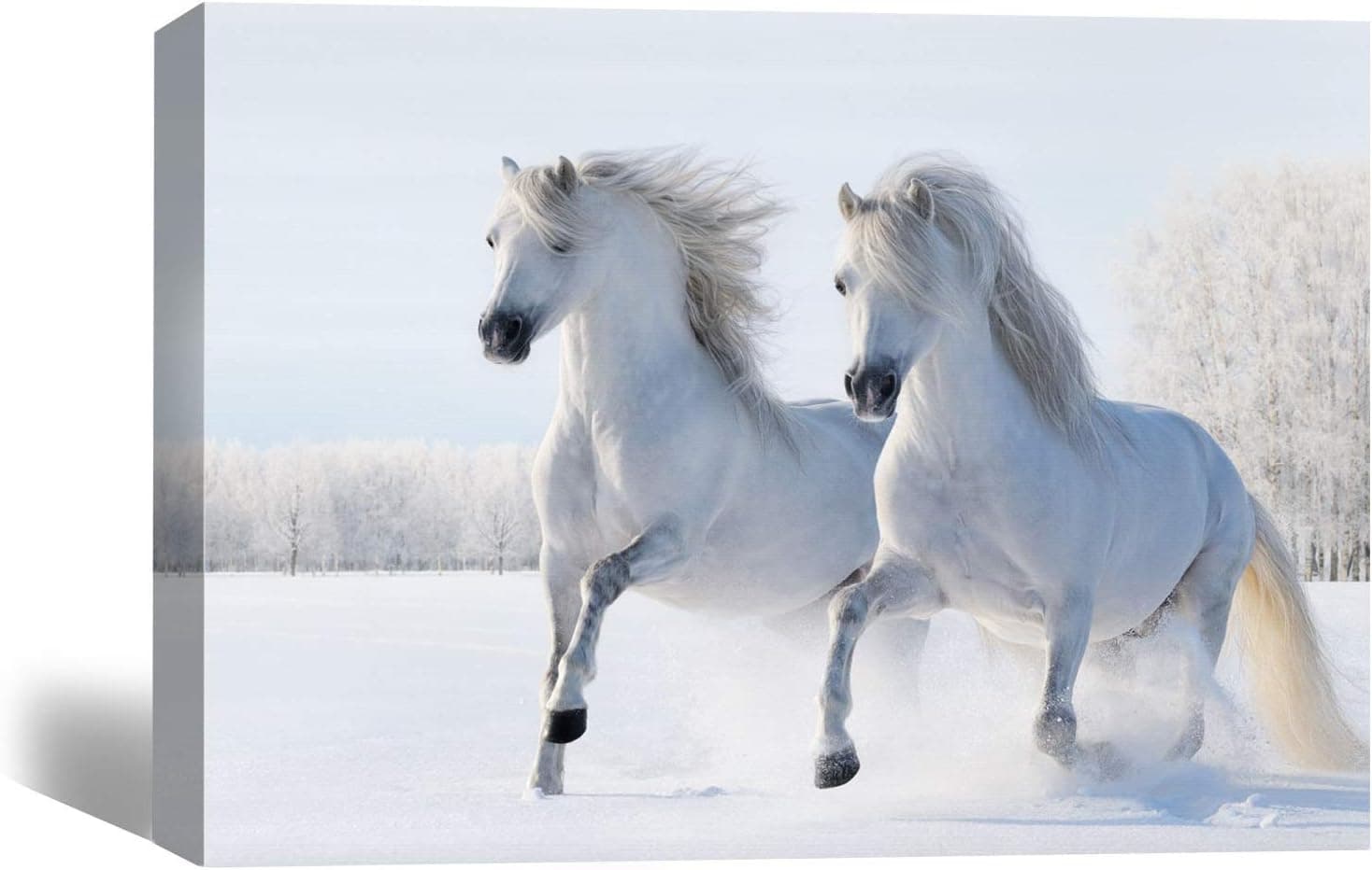 Big A Solutions Wall Art Prints on Canvas - Wrapped on wood ready to hang – Pictures and Décor for home decoration in bedroom kitchen living room. (White Horses)