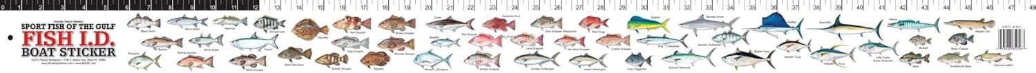 Florida Sportsman BSSFG Boat Sticker Sportfish Of The Gulf