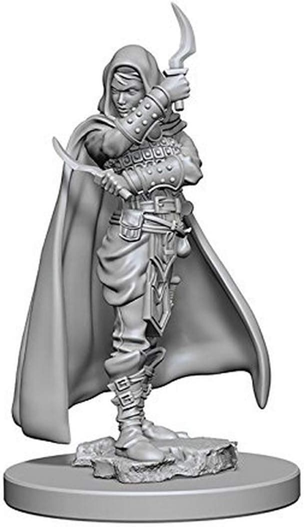 NECA Pathfinder Deep Cuts Unpainted Miniatures: Wave 1: Human Female Rogue