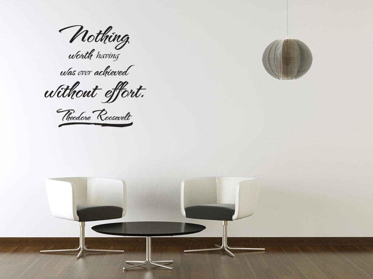 Empresal Vinyl Wall Art Theodore Roosevelt Quote Sticker Decal Decor Inspirational J14
