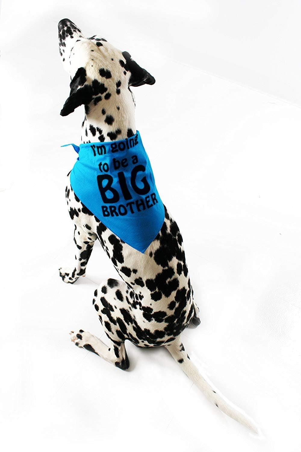 Midlee I'm Going to be a Big Brother Dog Bandana (Large)