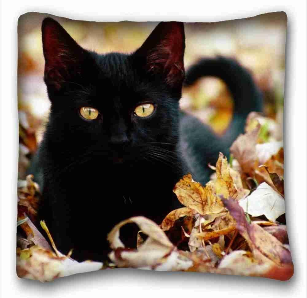 Soft Pillow Case Cover ( Animals kitten cats face fall leaves ) Pillow Covers Bedding Accessories Size 16"X16" suitable for Full-bed PC-Red-1622