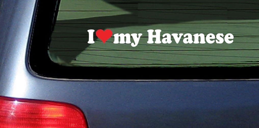 I Love Heart My Havanese Dog White Vinyl Decal Sticker