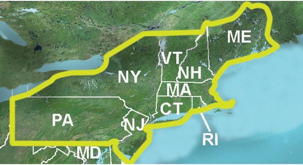 Garmin TOPO US 24K - Northeast - microSD/SD (37435)