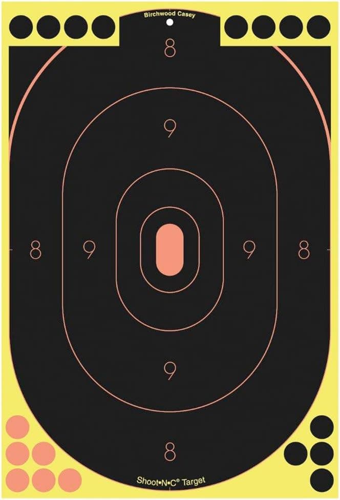 Birchwood Casey Shoot-N-C, 12"x18" Targets, Adhesive, See Hits Instantly