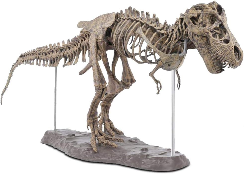 T-Rex Replica Skeleton Puzzles Model, DIY Skeleton Dinosaur Toys PVC Non-Toxic and Eco-Friendly, Dino Bones Puzzle 3D Puzzles Dinosaur Simulation Edu-Toys for Kids Ages 6 and Up
