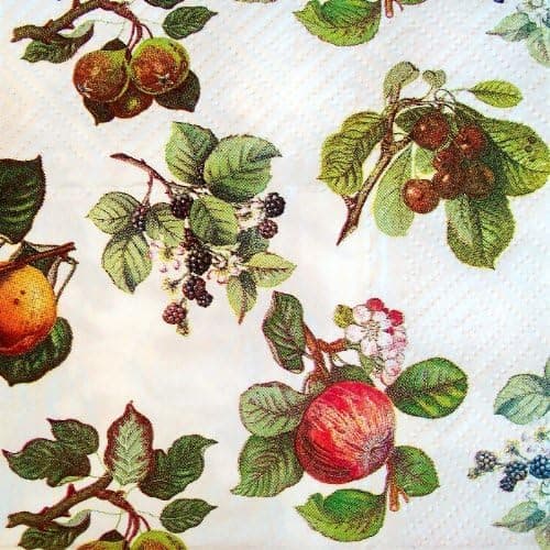Portmeirion Pomona Chintz Paper Cocktail Napkins, 24 Pack
