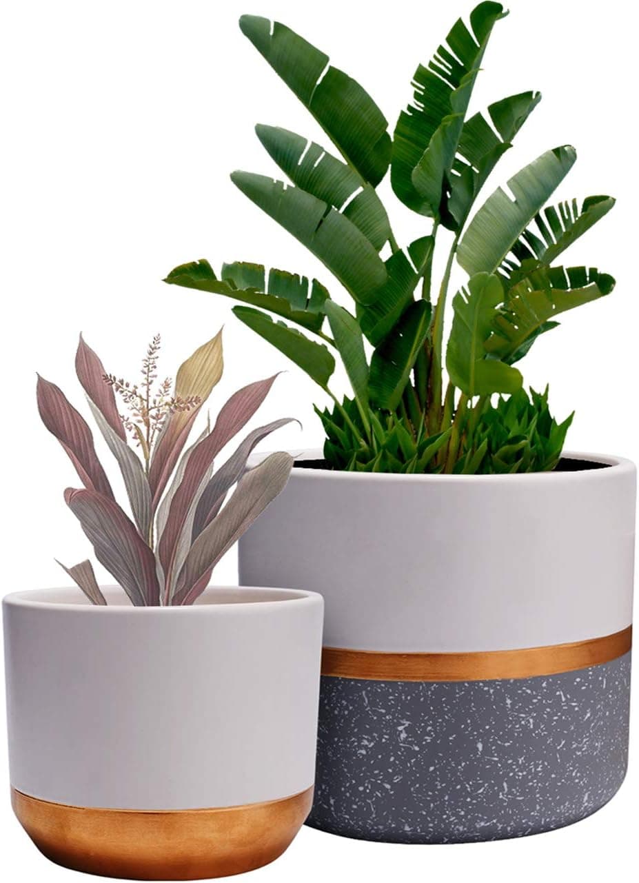 6.0 and 5.0 Modern White Ceramic Indoor Flower Plant Pot Garden Planters Kit, Plant Containers with Gold and Grey Detailing 2 Pack