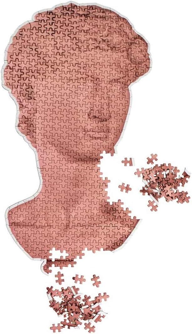 Extra Hard Near Impossible 500 Piece Puzzle for Adults Puzzel and Teens Cool Colorful Jigsaw Jig Saw Very Challenging Renaissance David