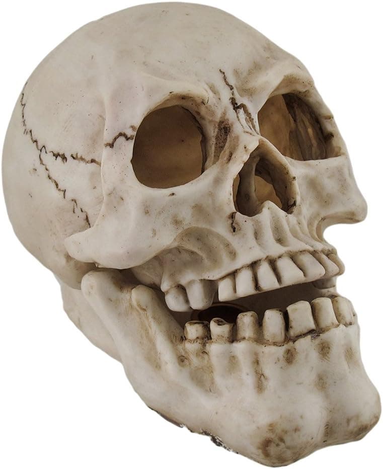Human Skull Shaped Incense Burner Box