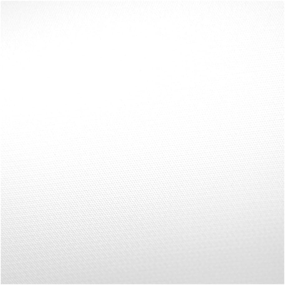 Savage Vinyl Backdrop - Color Pure White, Size 9 Feet Wide x 10 Feet Long, Photography Backdrop