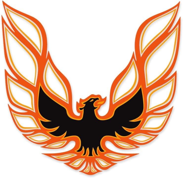 1973 1974 1975 1976 1977 1978 Pontiac Firebird Trans Am Sail Panel Bird Decals - Orange