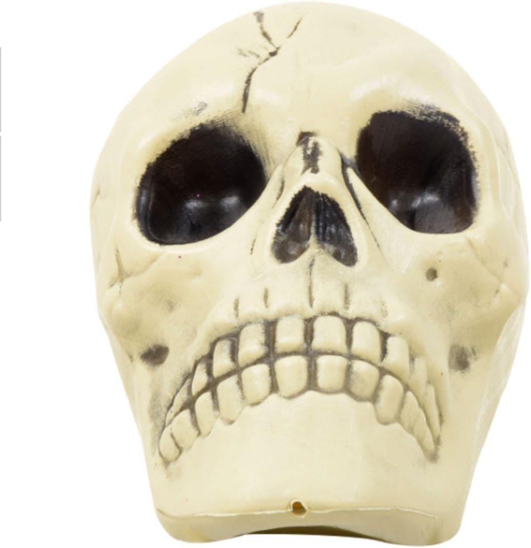 Greenbrier International Plastic Skull