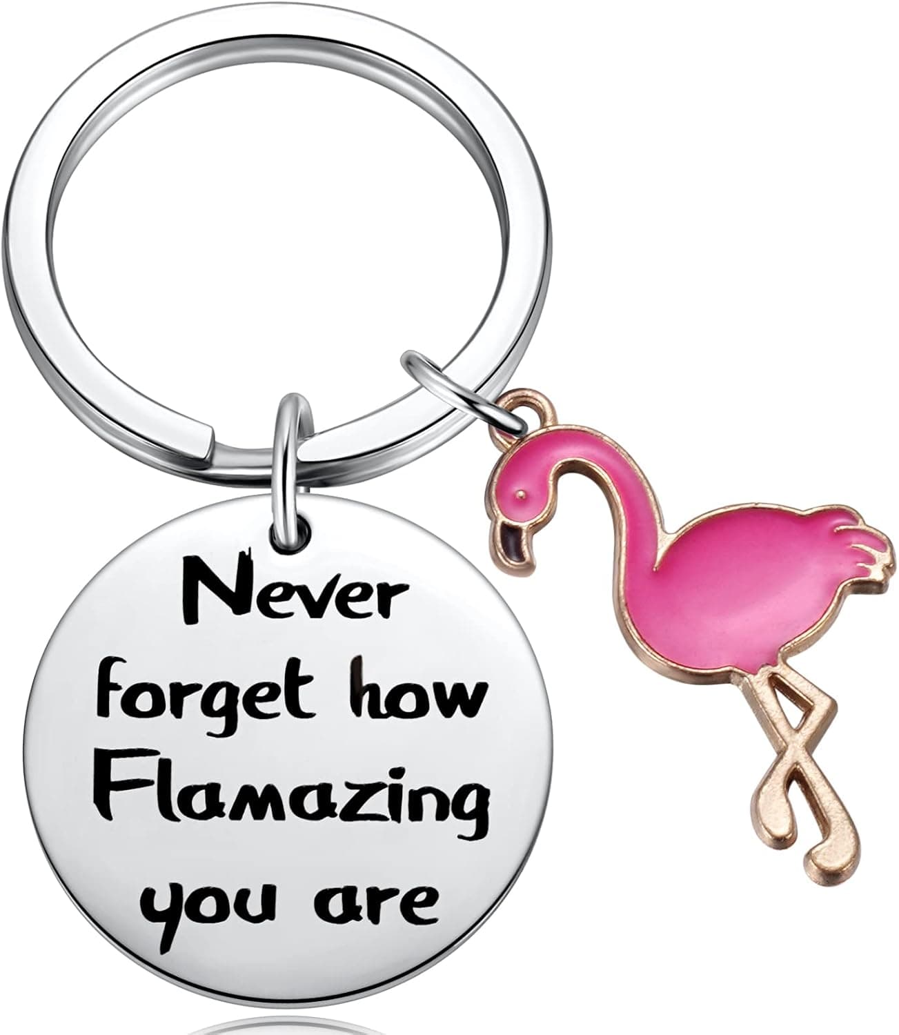 MIXJOY Motivational Flamingo Keychain Gifts - Never Forget How Flamazing You Are Key Chain for Women Girls Flamingo Lover