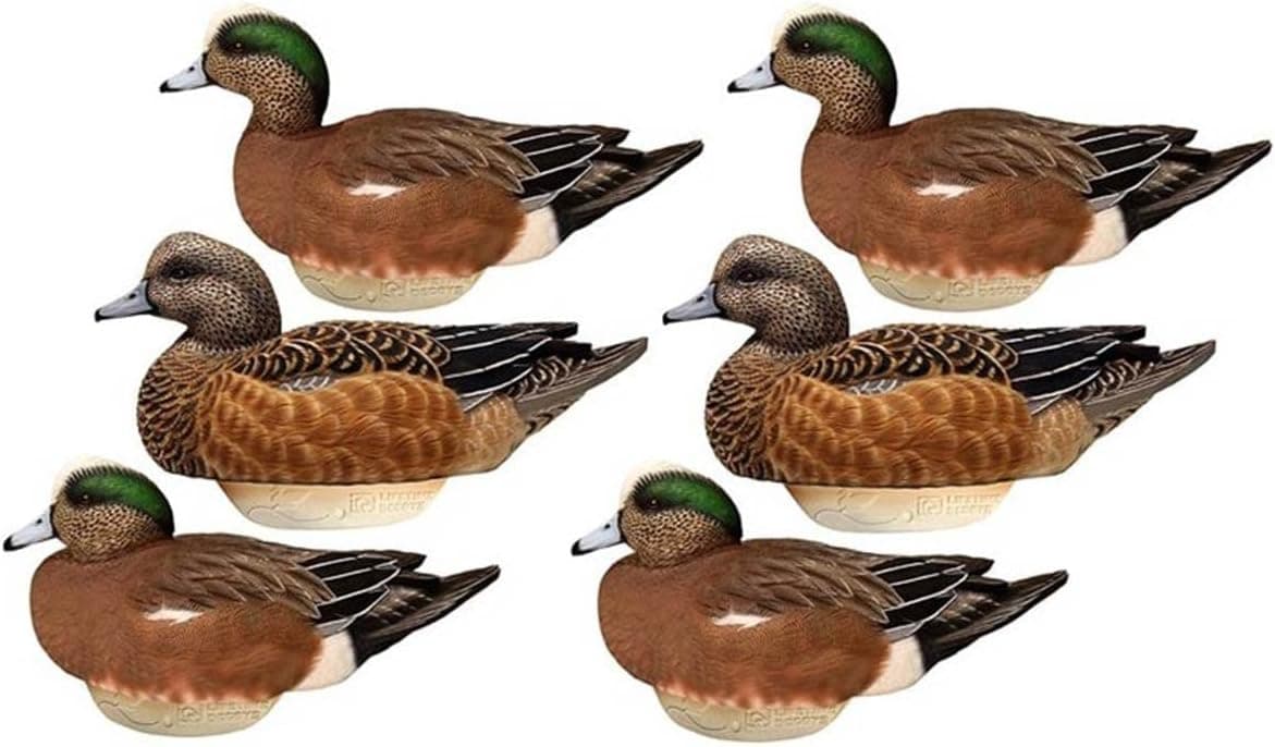 Lifetime Decoys HydroFoam Wigeon 6 Pack - Light as a Feather - Lasts Forever