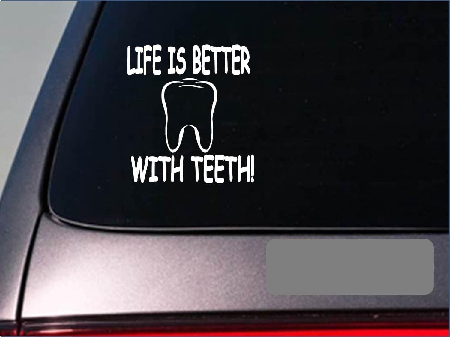 EZ-STIK Life is Better with teethF404 6" Sticker Decal Dentist Dental Hygienist Brush