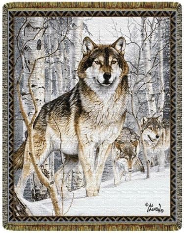 Second Glance Tapestry Throw