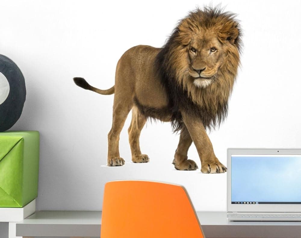 Wallmonkeys Side View of a Lion Walking Wall Decal Peel and Stick Graphic WM60650 (18 in W x 15 in H)