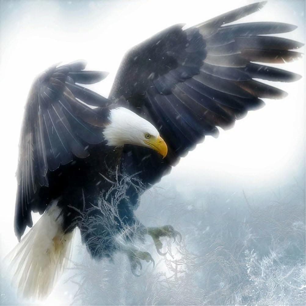 LPRTALK Diamond Painting by Number Kit, 5D DIY Diamond Painting Animal Full Square Drill Eagle Embroidery for Wall Decoration 12X12 inches (Full Drill)