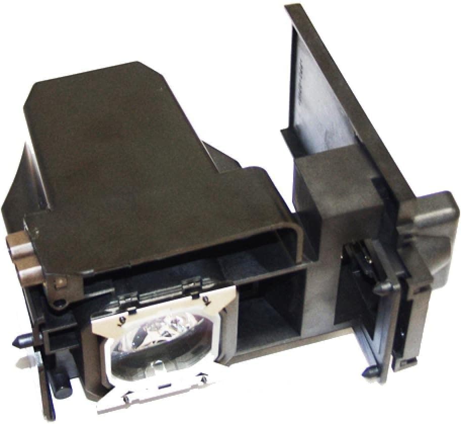 P Premium Power Products TY-LA1001-ER Compatible RPTV Lamp