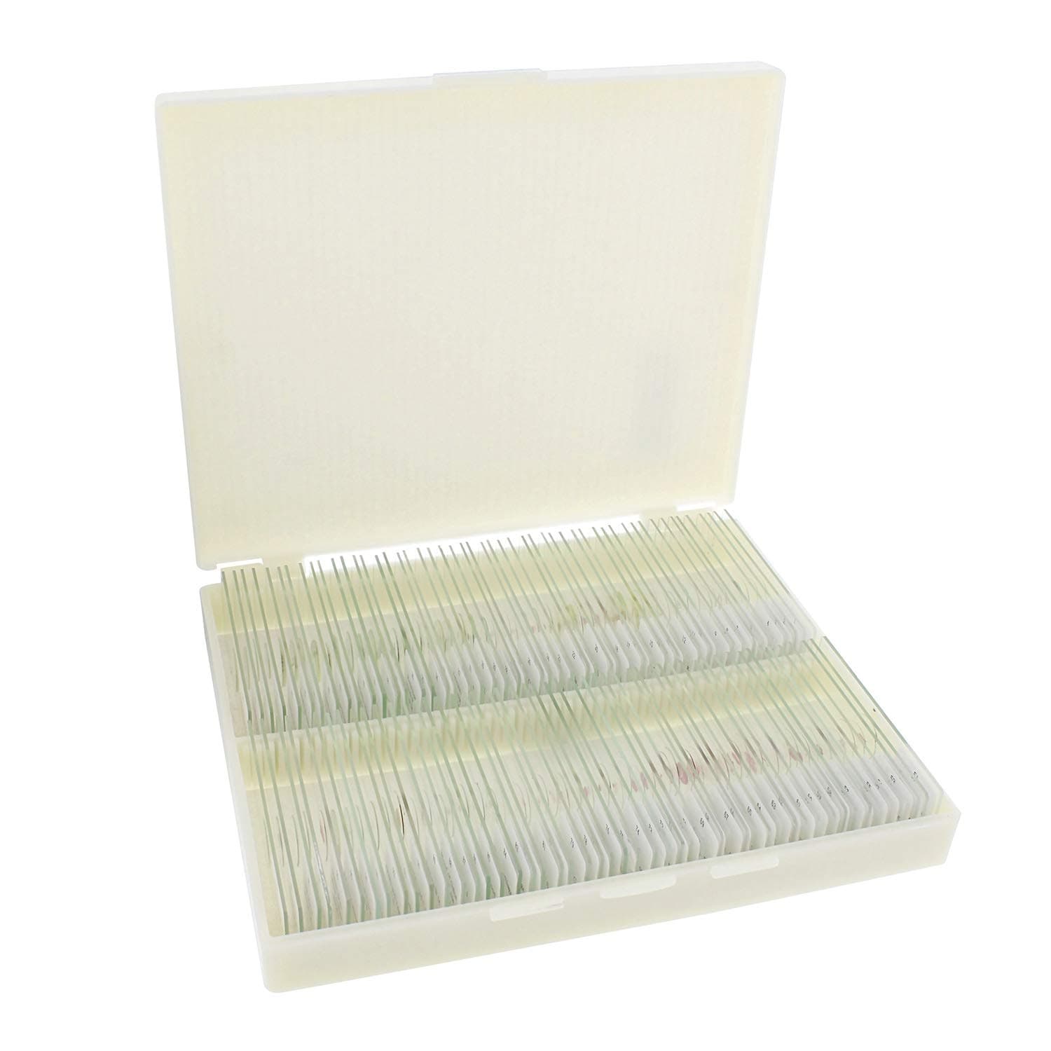 MonMed Prepared Microscope Slides - 100 Pc Animal Focused Microscope Sample Kit with Plastic Microscope Slide Box
