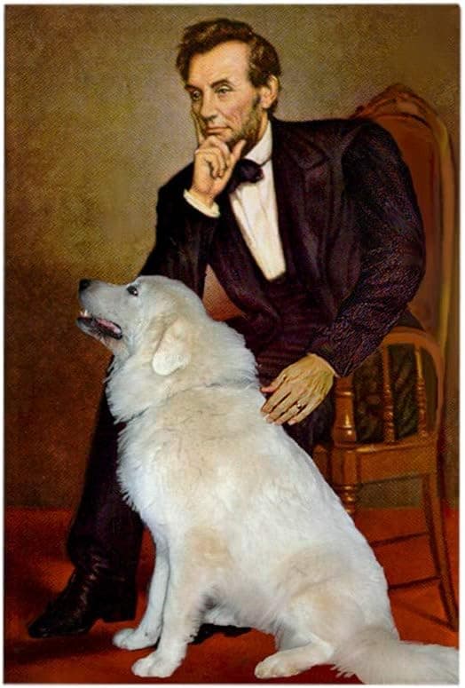 CafePress Lincoln/Great Pyrenees Rectangle Magnet, 3"x2" Refrigerator Magnet