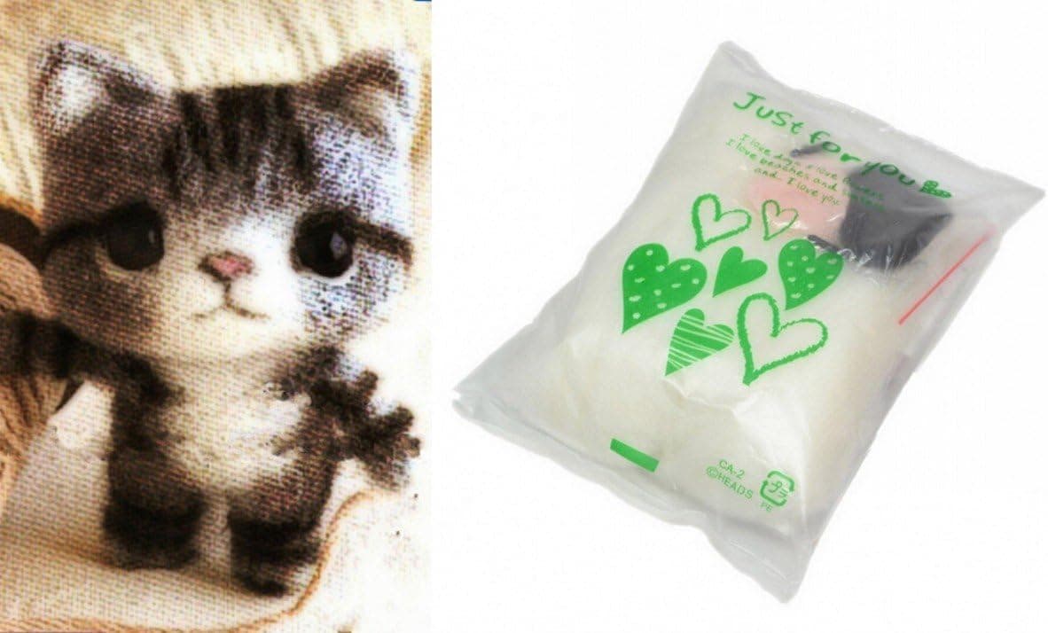 CHENGYIDA Wool Felting Craft Needle Felt Animal Kit Set - Lovely Mini Cat