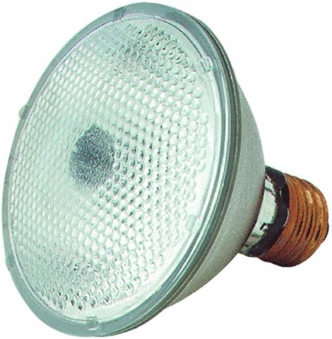 GE 14022 50-Watt PAR30 Edison Halogen Floodlight