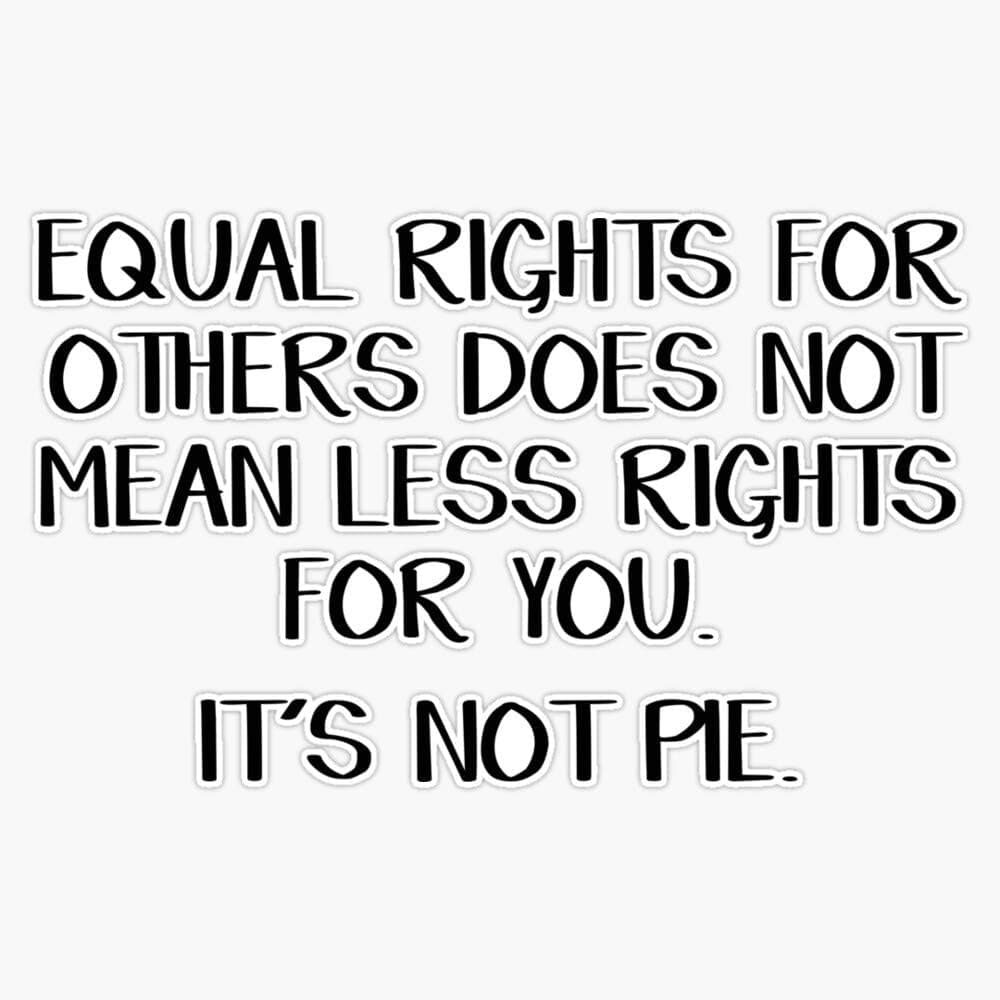 Equal Rights For Others Does Not Mean Less Rights For You. It'S Not Pie. Sticker Sticker Vinyl Bumper Sticker Decal High Quality Waterproof 5"