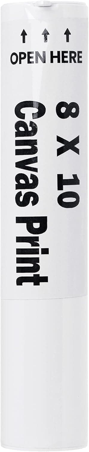 Glitter Bomb Spring Loaded Completely Discrete Looks Like Poster Package Prank Box Ship Directly to Victim Anonymous