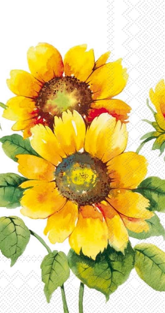 Boston International IHR 16-Count Guest/Dinner 3-Ply Paper Napkins, 8.5 x 4.5-Inches, Colourful Sunflowers