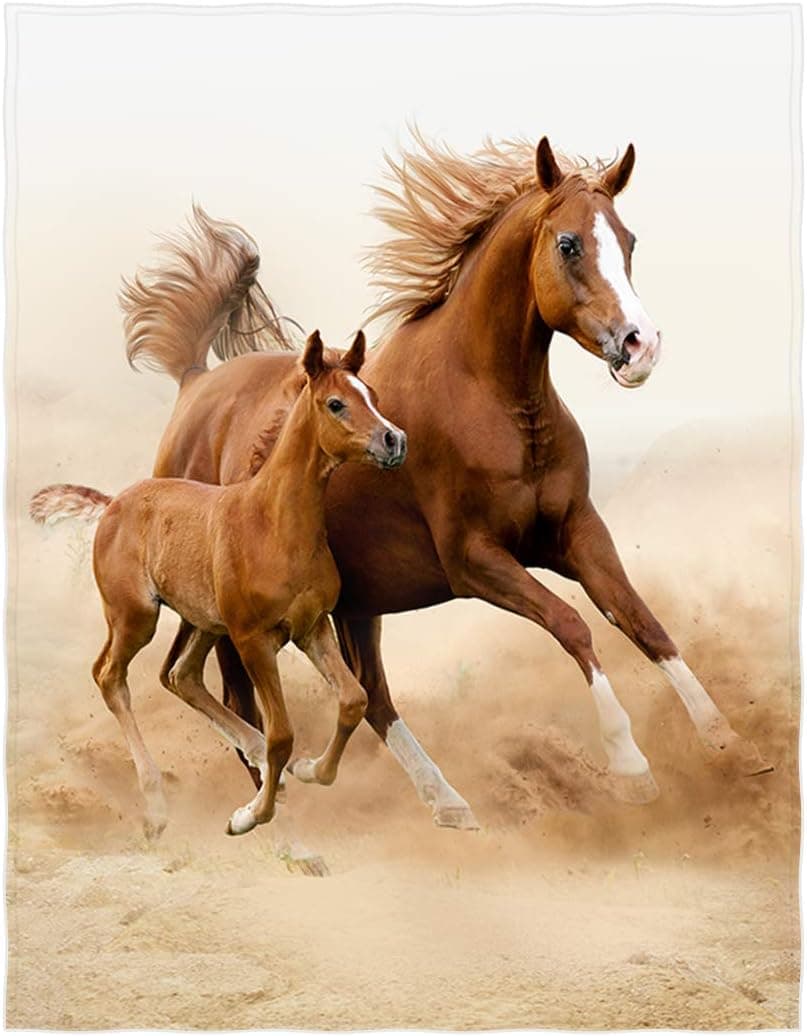 QH 60 x 80 Inch Two Beautiful Horse Pattern Super Soft Throw Blanket for Bed Sofa Lightweight Blanket for All Seasons