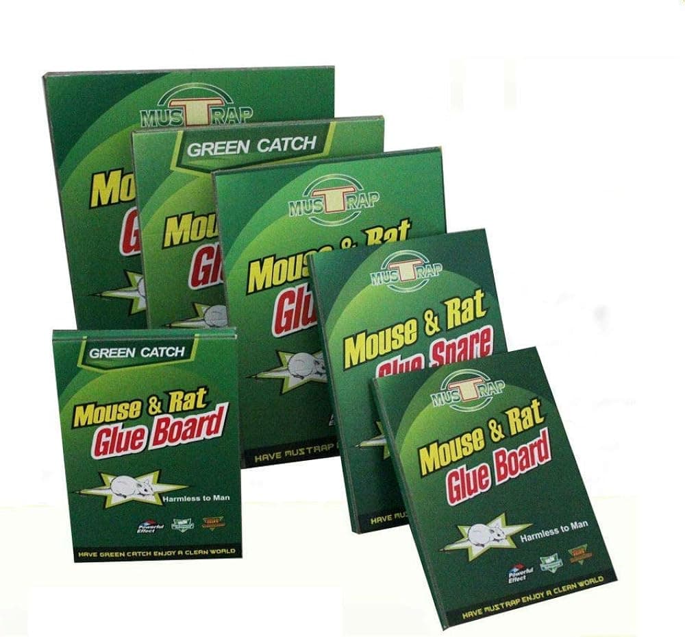 Magnetic Eyelashes Dual Magnet Glue-free 3D Reusable Full Size Premium Quality Natural Look Best False Lashes(4 Pieces)