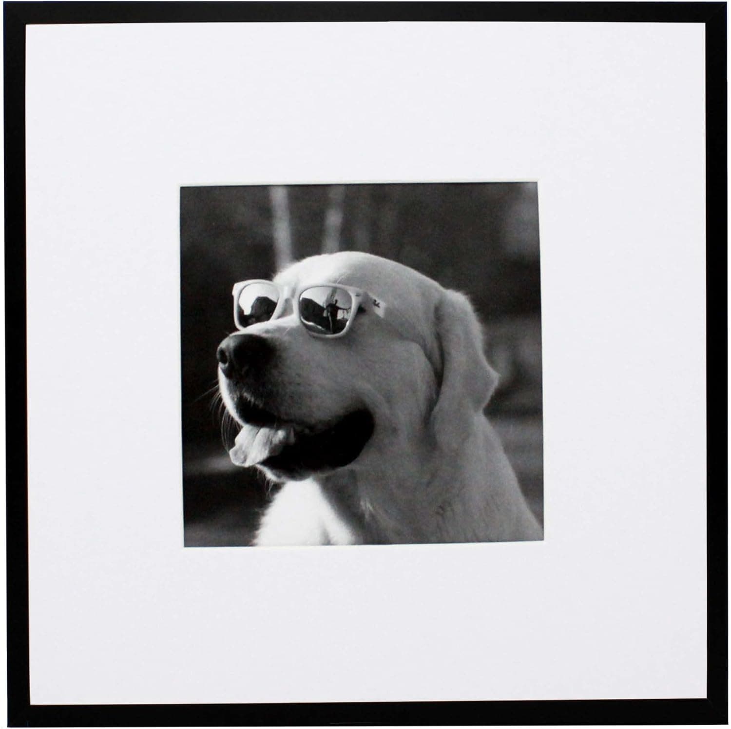 10x10 Black Brushed Aluminum Metal Picture Frame with 5x5 Mat - Includes Both Attached Hanging Hardware and Desktop Easel - Crystal Clear Plexiglass Front - Frames Display Pictures or Scrapbook Pages