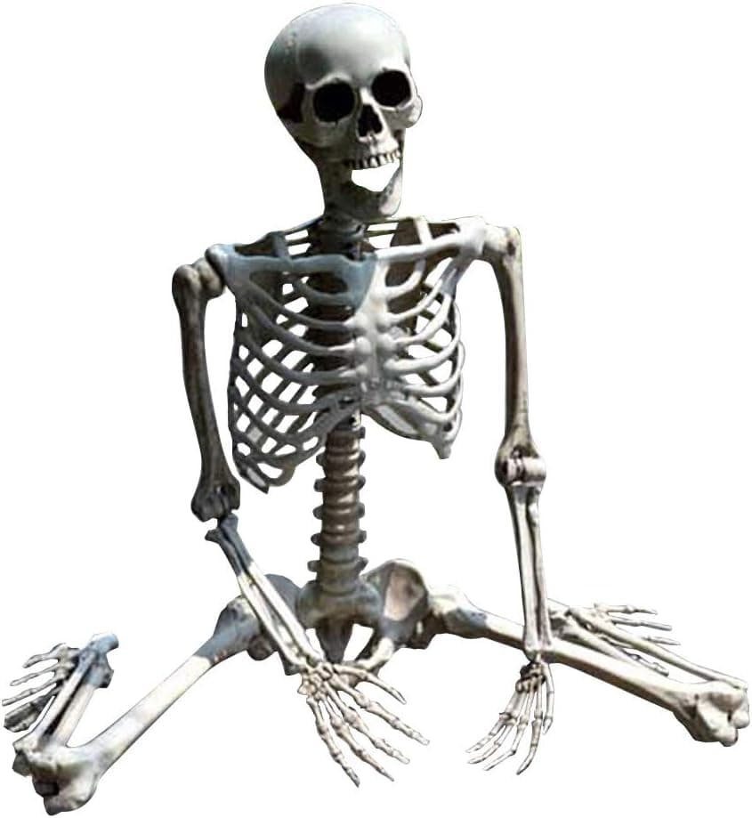 Huge Halloween Skeleton Bones Full Size Human Skull Skeleton Bones Halloween Decor for Halloween Skeleton Halloween Party Supplies Party Favors Decorations(170cm)