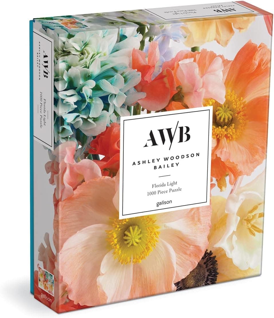 Ashley Woodson Bailey Florida Light 1000 Piece Puzzle from Galison - Jigsaw Puzzle for Adults, Beautiful Photography from Ashley Woodson Bailey, Thick and Sturdy Pieces, Fun and Challenging Activity