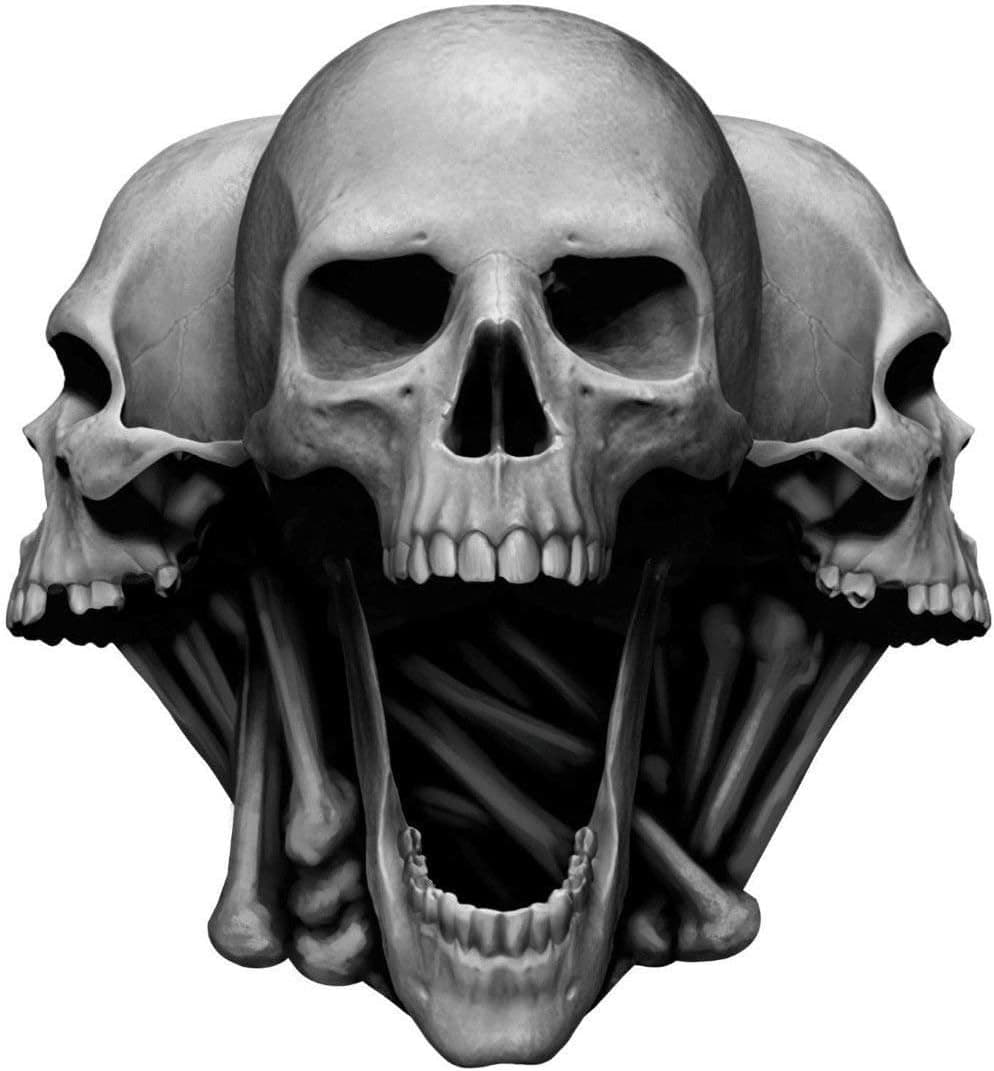 MFX Design Skull 3 Head Bumper Sticker Decal Laptop Sticker Decal Toolbox Sticker Decal Hard Hat Sticker Decal Vinyl - Made in USA 3.25 in. x 3 in.