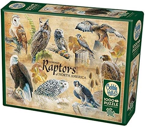 Cobblehill 80023 1000 pc Common Raptors Puzzle, Various