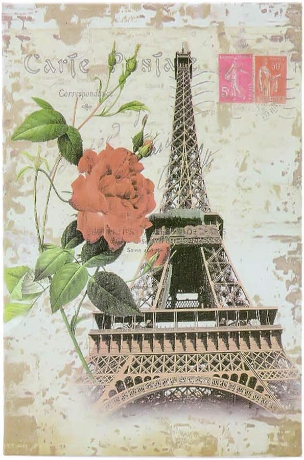 Diversion Book Safe, Dictionary Secret Cash Safe Box with Combination Lock, Diversion Book Hidden Safe (Paris,Code, M)