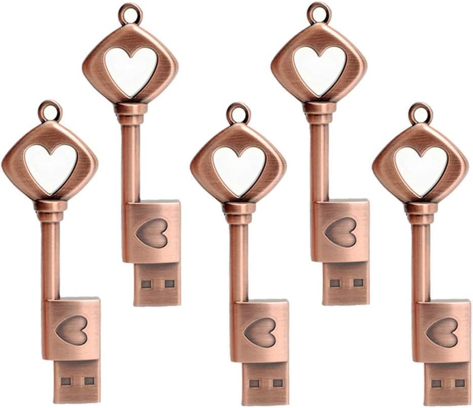 LEIZHAN Metal Key USB Flash Drive 5 Pack 16GB Love Heart Shape Thumb Drive USB Computer Memory Stick Pen Drive Graduation Gift Pendrive