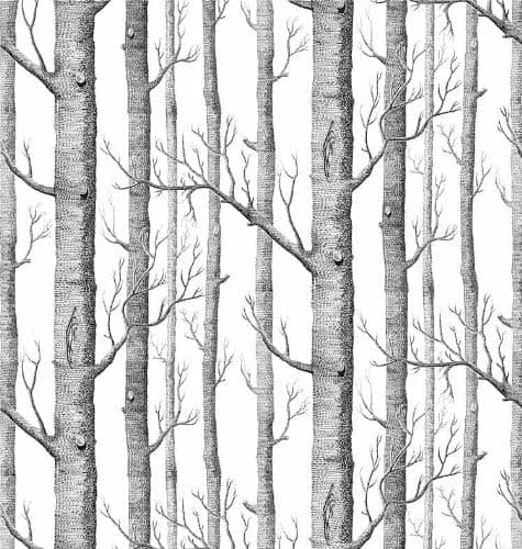 Birch Trees Without Leaves Seamless Wallpaper Tile By Wallmonkeys ( 48 inches by 48 inches ) Peel and Stick Wall Graphic,