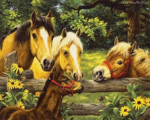 Dorara DIY Oil Painting Paint by Number Hand Paintworks 16×20 Inches Horses