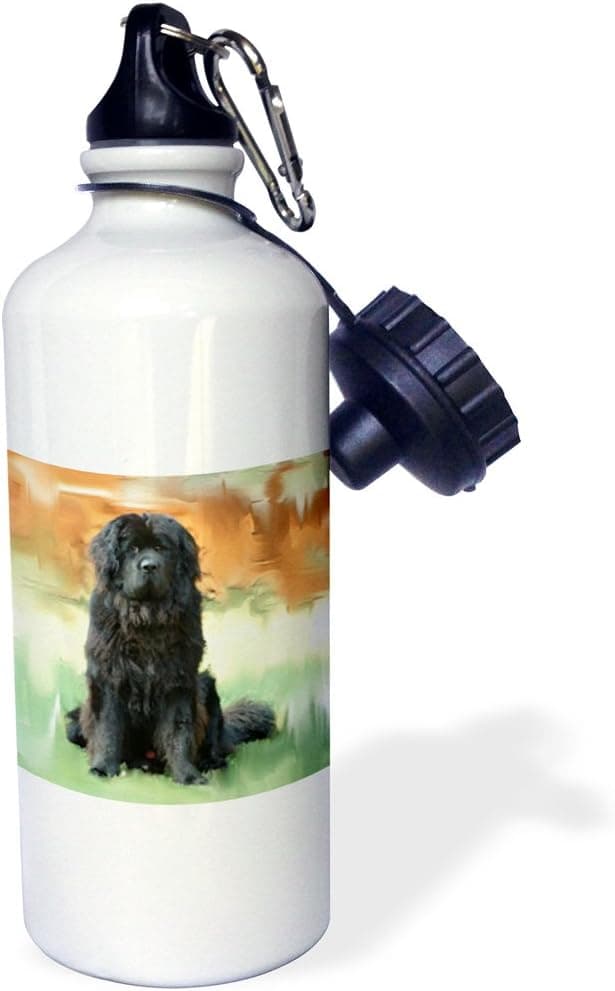 3dRose NewFoundLand Sports Water Bottle, 21 oz, White