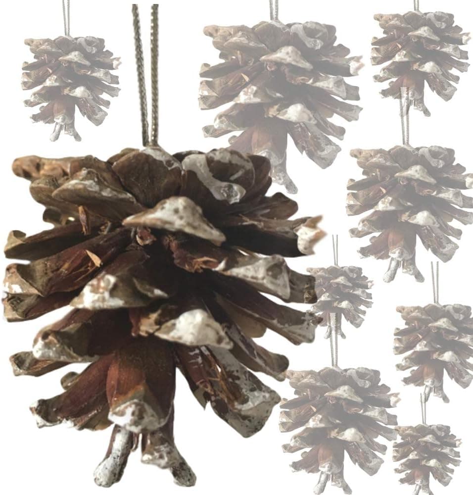 BANBERRY DESIGNS White Tipped Pinecones - Bag of Approx. 30 Real Pine Cone Ornaments Assorted Sizes - Frosted Tips Strings - Rustic Natural Small Pinecones Bulk - Fall Christmas - 1.5 Inch to 2.5 Inch